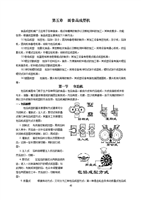 食品机械第五章 面食品成型与包装机械的协同发展