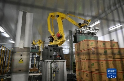 “舌尖上”的智能制造 探访全球首家调味品“灯塔工厂”的包装机械革命